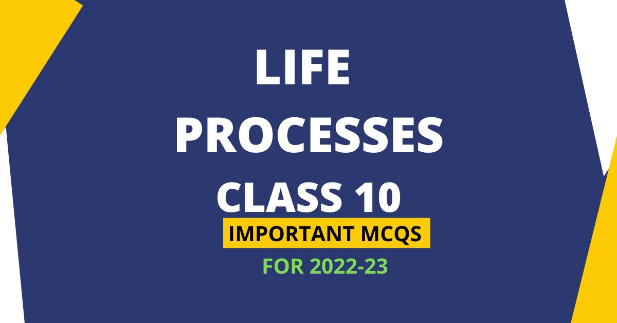 Life Processes Class 10 MCQs Questions with Answers