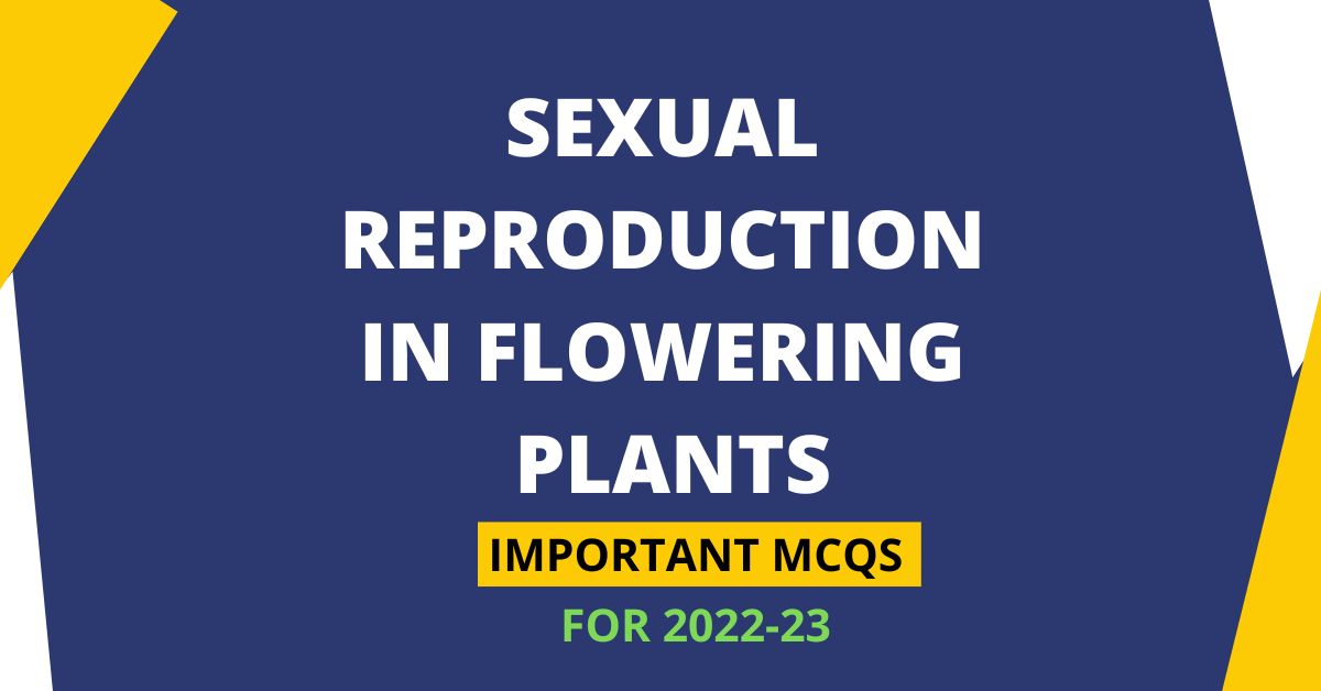 Sexual Reproduction In Flowering Plants Class 12 Biology Mcq 2022 23 3765