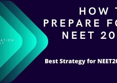 how to prepare for NEET 2021