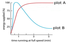 Aerobic and anaerobic respiration