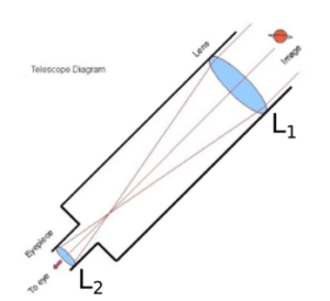 science sample paper 2021