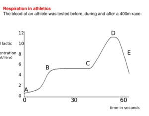 Lactic acid graph