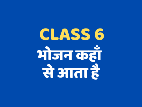 भोजन कहाँ से आता है Class 6 mcq