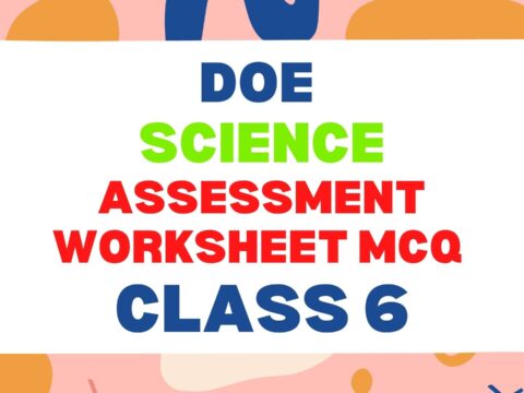 DoE SCIENCE ASSESSMENT WORKSHEET MCQ Class 6