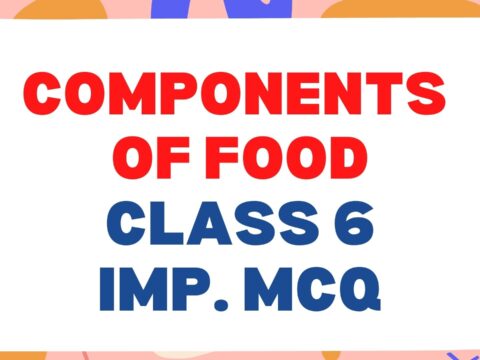 Components of Food Class 6 Science Important MCQ