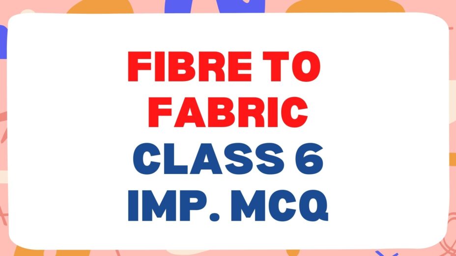 Fibre to Fabric Class 6 Science Important MCQ