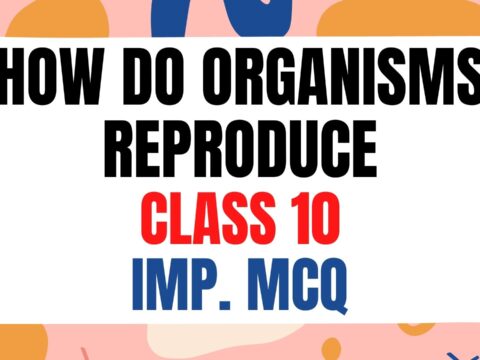 How do Organisms reproduce class 10 MCQ with answers