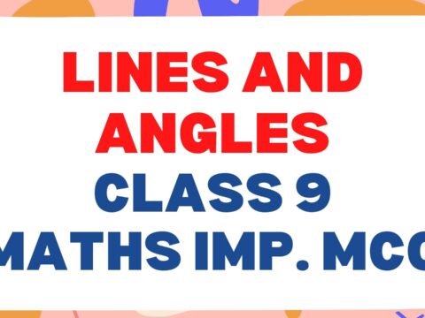 Lines and Angles Class 9 Math Important MCQ