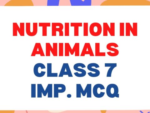 Nutrition in Animals Class 7 Science Important MCQ