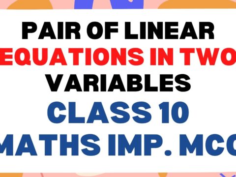 Pair of Linear Equations in Two Variables Class 10 Math Important MCQ