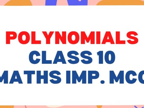 Polynomials Class 10 Maths Important MCQ