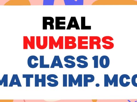 Real Numbers Class 10 Math Important MCQ