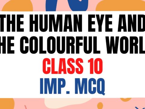 The Human Eye And The Colourful World class 10 MCQ with answers