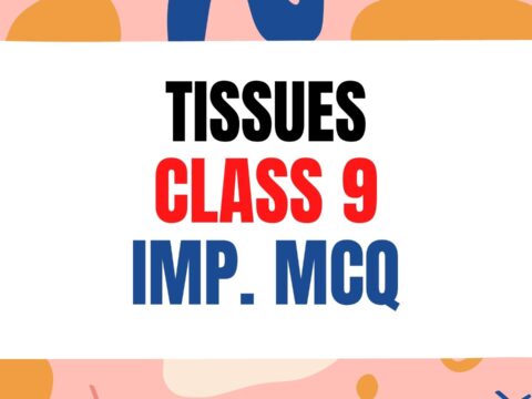 Tissues class 9 mcqs