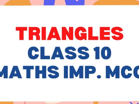 Triangles Class 10 Math Important MCQ