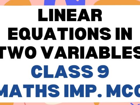 linear equations in two variables Class 9 Math Important MCQ