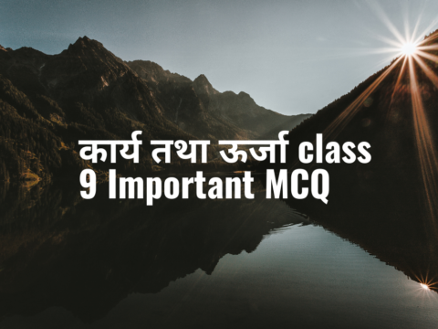 कार्य तथा ऊर्जा class 9 Important MCQ