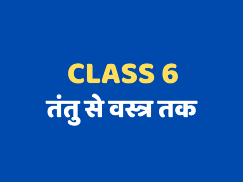 तंतु से वस्त्र तक Class 6 mcq