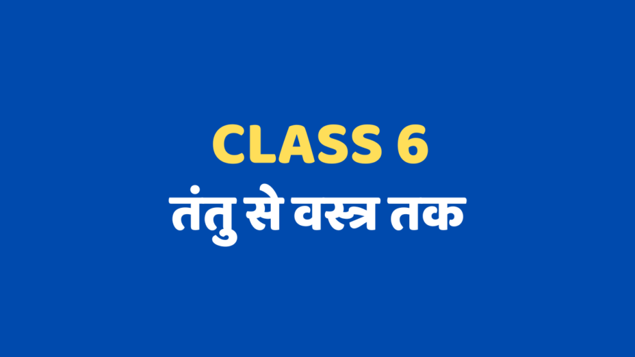 तंतु से वस्त्र तक Class 6 mcq