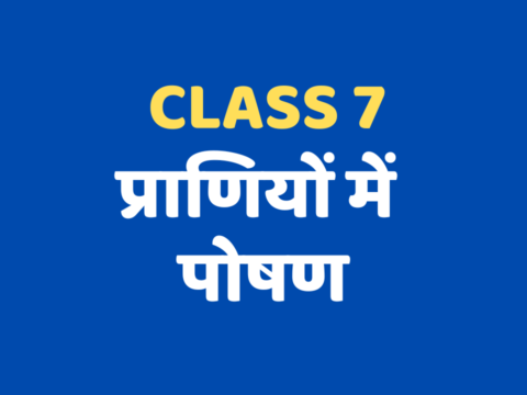 प्राणियों में पोषण Class 7 Extra mcq