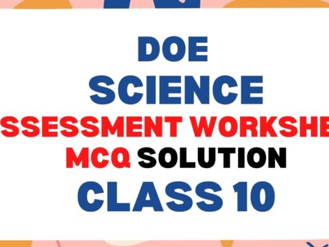 Class 10 science DOE Assessment Worksheet MCQ solution