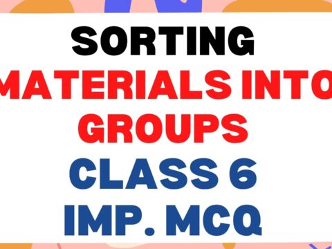 Sorting Materials Into Groups class 6 Important MCQ