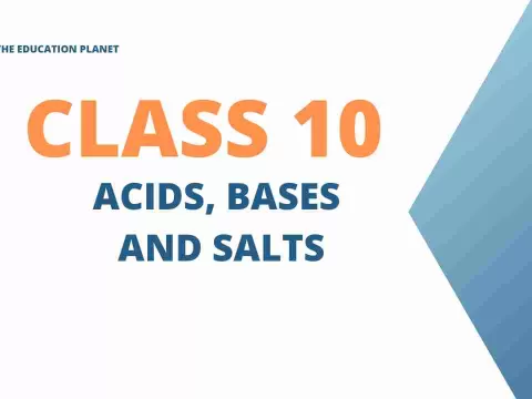 Acids Bases and Salts