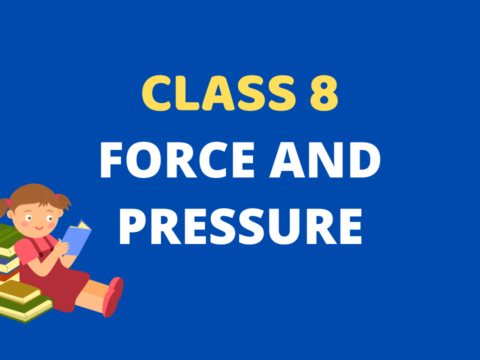 Force and Pressure Class 8 Extra mcq