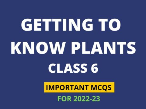 getting to know plants class 6 mcq online test