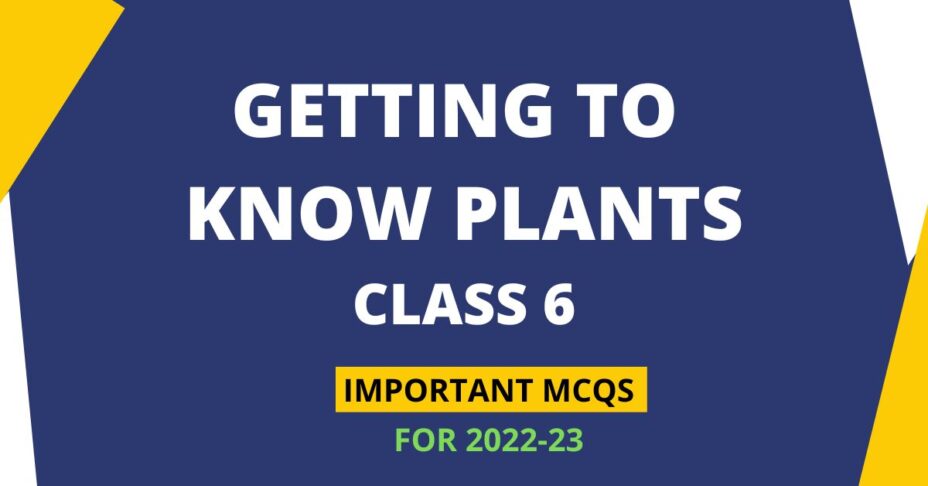 getting to know plants class 6 mcq online test