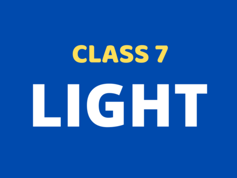 Light Class 7 Extra mcq