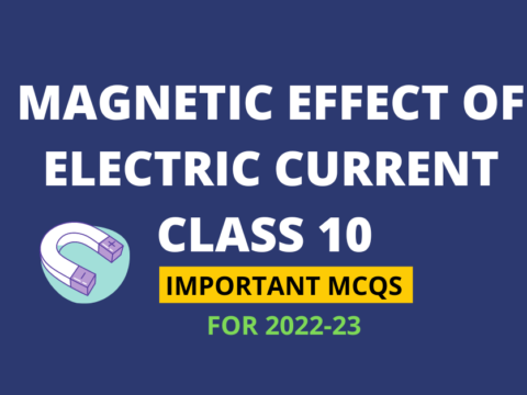 Magnetic Effect of Electric Current Class 10 MCQ with Answers