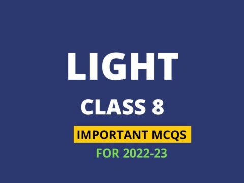 Class 8 ScienceMCQ Solutions for Chapter 16 - Light