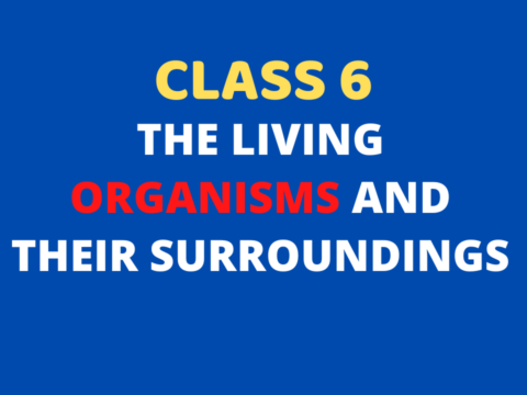 the Living Organisms and Their Surroundings Class 6 mcq