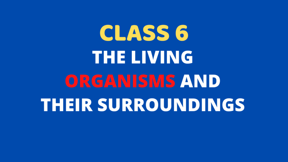 the Living Organisms and Their Surroundings Class 6 mcq