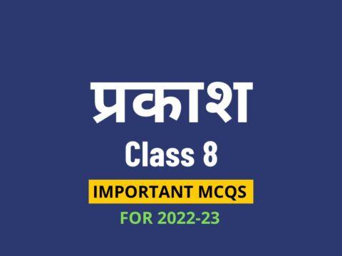 प्रकाश Chapter 16 Class 8 Vigyan MCQ Hindi Medium