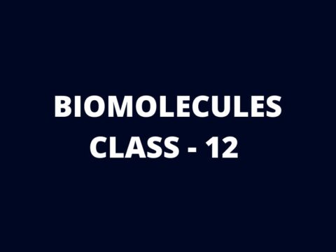 biomolecules class 12 mcq online test