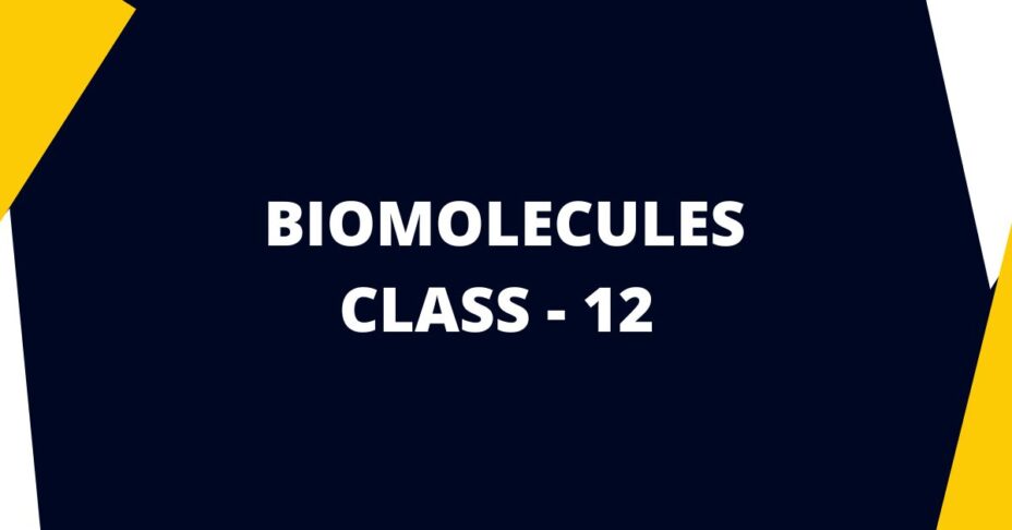 biomolecules-class-12-mcqs-questions-with-answers