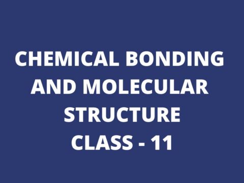 Chemical Bonding And Molecular Structure Class 11 MCQ