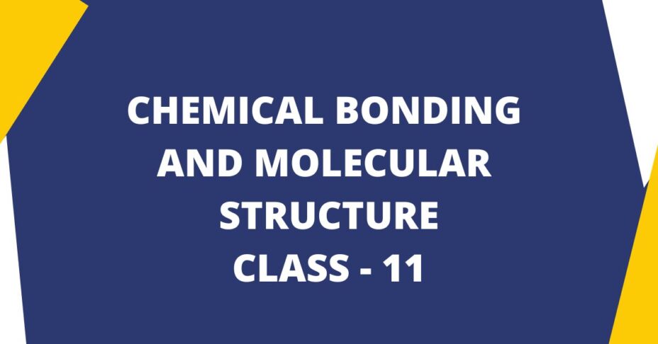 Chemical Bonding And Molecular Structure Class 11 MCQ