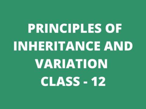 principles of inheritance and variation class 12 mcq