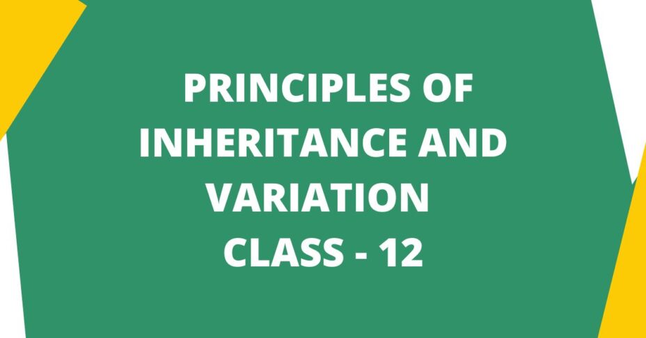 principles of inheritance and variation class 12 mcq