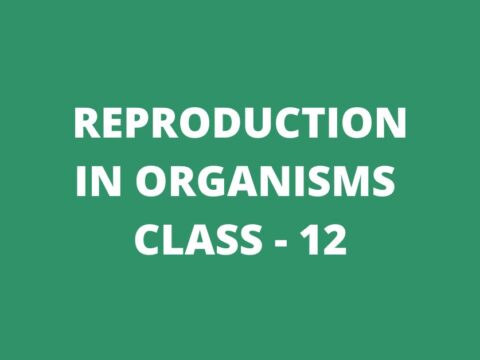 reproduction in organisms class 12 mcq