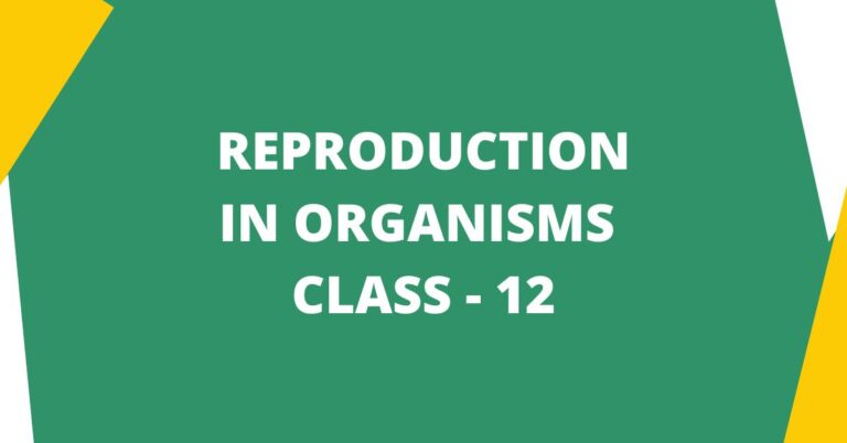 Reproduction In Organisms Class 12 Biology Mcqs