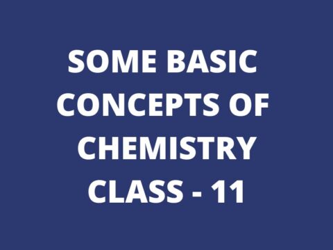 Some Basic Concepts of Chemistry Class 11 MCQ