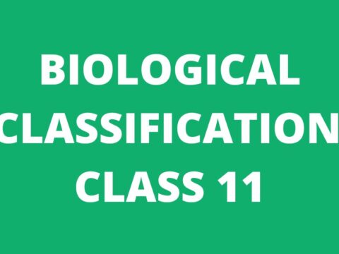 Biological Classification Class 11 Chapter 2 MCQ