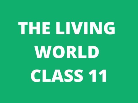 The Living World Class 11 mcq