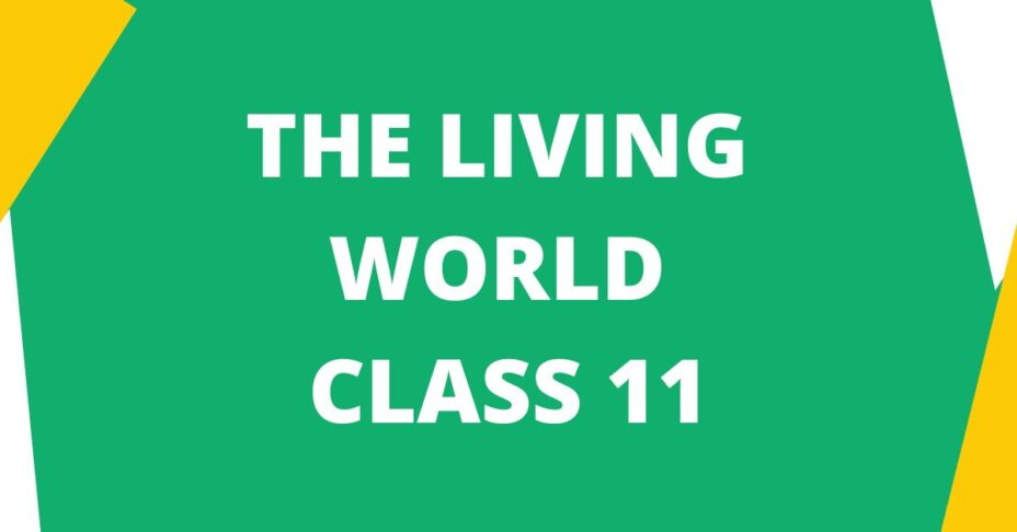 The Living World Class 11 mcq