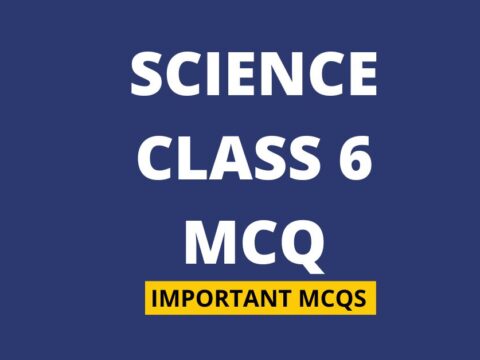 Chapter Wise MCQ Questions for Class 6 Science