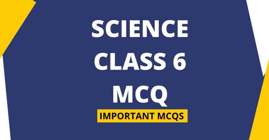 Chapter Wise MCQ Questions for Class 6 Science